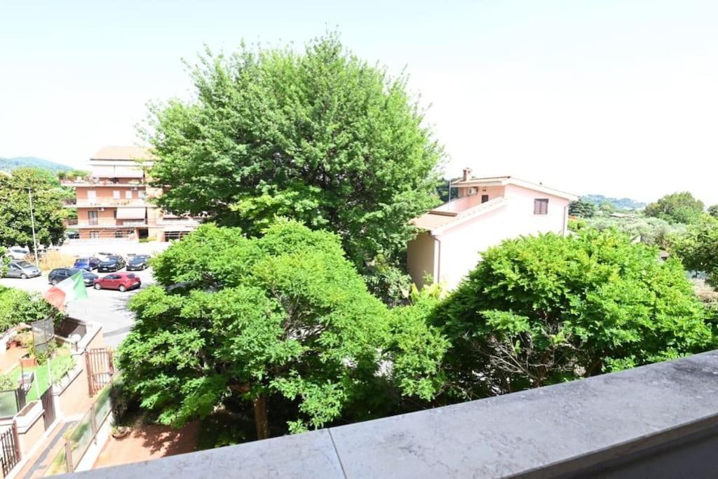 Apartmán A Casa Di Tina Genzano di Roma Exteriér fotografie
